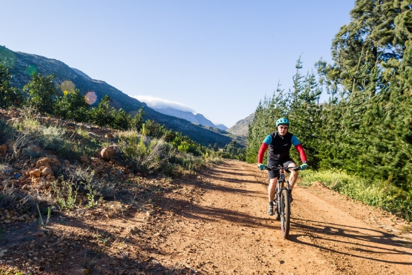 Casa i Mirtilli Attivita estive bike a Folgarida (Val di Sole, Trentino)