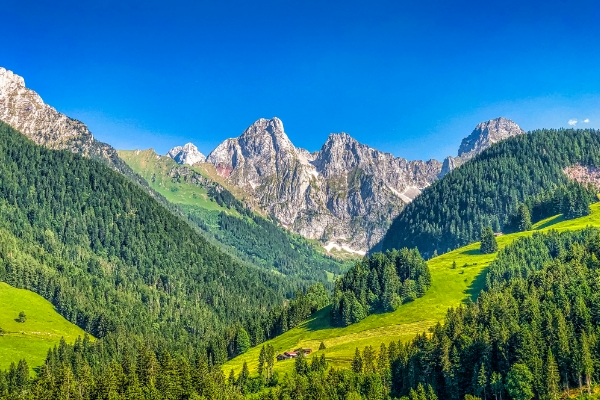 Casa i Mirtilli Attivita Poco naturale Adamello Brenta a Folgarida (Val di Sole, Trentino)